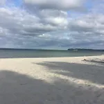 Seeschwalbe Mit Meerblick